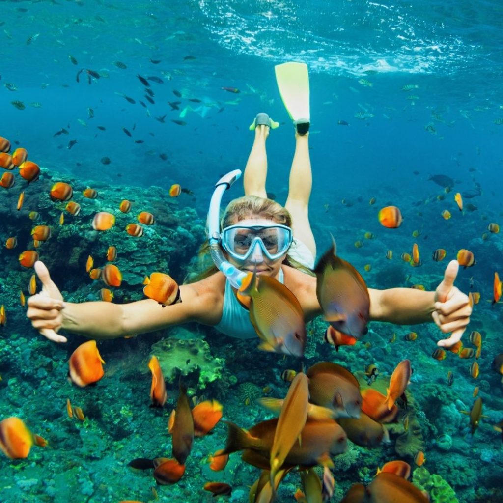 The Best Places To Snorkel In The Caribbean - Underwater Paradise