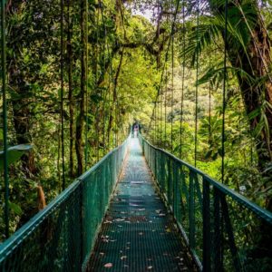 Rope bridge in Costa Rica