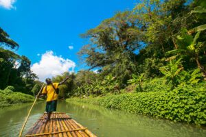Bamboo river tour on the Black River, South Coast Jamaica